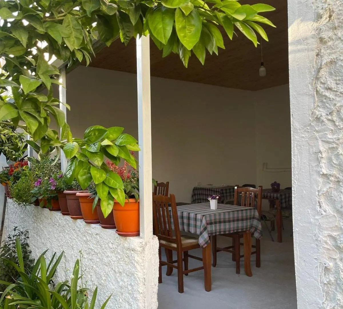Villa Oasis Berat 0*,  Albanien